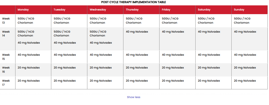 Intermediate Bulking Cycle 1 (12 Week)